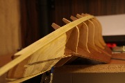 IMG_4603.JPG