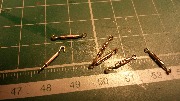 20140119_175314.jpg