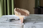 IMG_4594.JPG