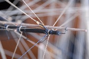 DSC_0160.JPG