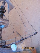IMG_1416.jpg