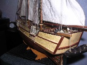 Albatros_11
