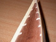 DSCN9918.jpg