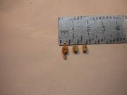 DSCN1882.JPG