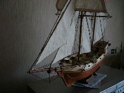 Albatros_2