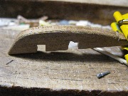 IMG_0893.jpg