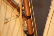IMG_0630.jpg
