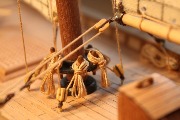 IMG_0647.jpg