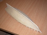 DSCN9873.jpg
