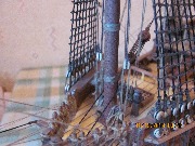 IMG_1411.jpg