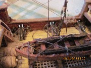 IMG_1395.jpg