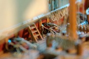 DSC_1579_resize.jpg