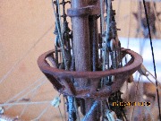 IMG_1410.jpg