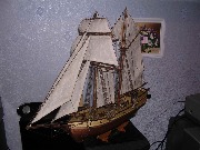 Albatros_6