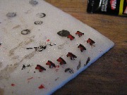 IMG_2764.JPG