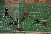 DSC01602.JPG
