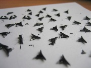 IMG_0100.JPG