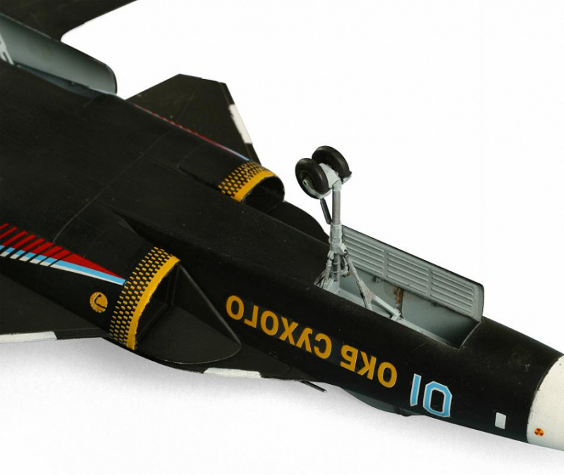 Самолет Су-47 "Беркут" (подарочный набор) Самолет Су-47 "Беркут" (подарочный набор)