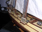 Albatros_12