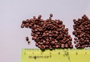 IMG_8423.jpg