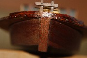 MG_4545.JPG