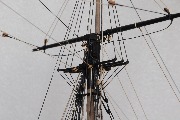 DSC_0137.JPG