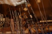 DSC01581.JPG