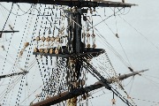 DSC_0141.JPG