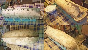 11_Impregnacia