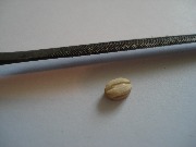 DSC04024.JPG