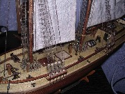 Albatros_7