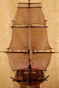 DSC_0302.JPG