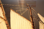 IMG_0617.jpg