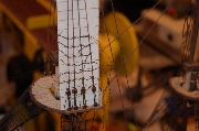 DSC01250.JPG