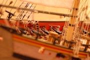 DSC_0337.JPG