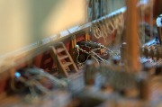 DSC_1579.jpg