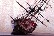 DSC_0173.jpg