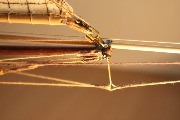 IMG_0637.jpg