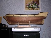 Albatros_2_002.jpg
