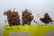 IMG_8425.jpg