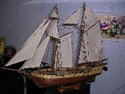 Albatros_5