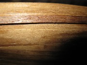 IMG_0862.jpg