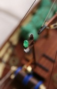 IMG_6715_1.jpg