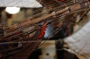 DSC01652.JPG
