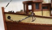 IMG_6703.jpg