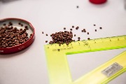 IMG_8415.jpg