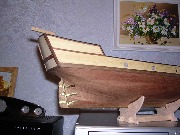 Albatros_3