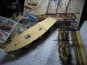 IMG_2385.jpg