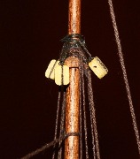 IMG_0135.jpg