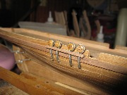 IMG_0900.jpg